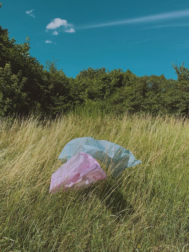 plastik na łace